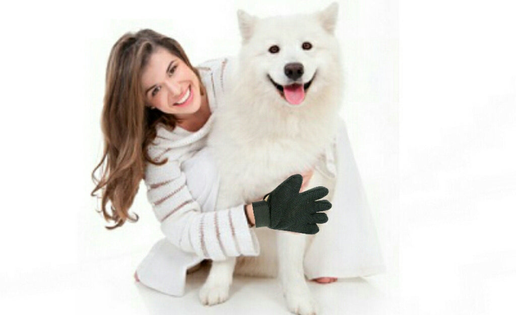 Mr. Peanut's 2 Pak HanD 259 Pet Grooming Gloves