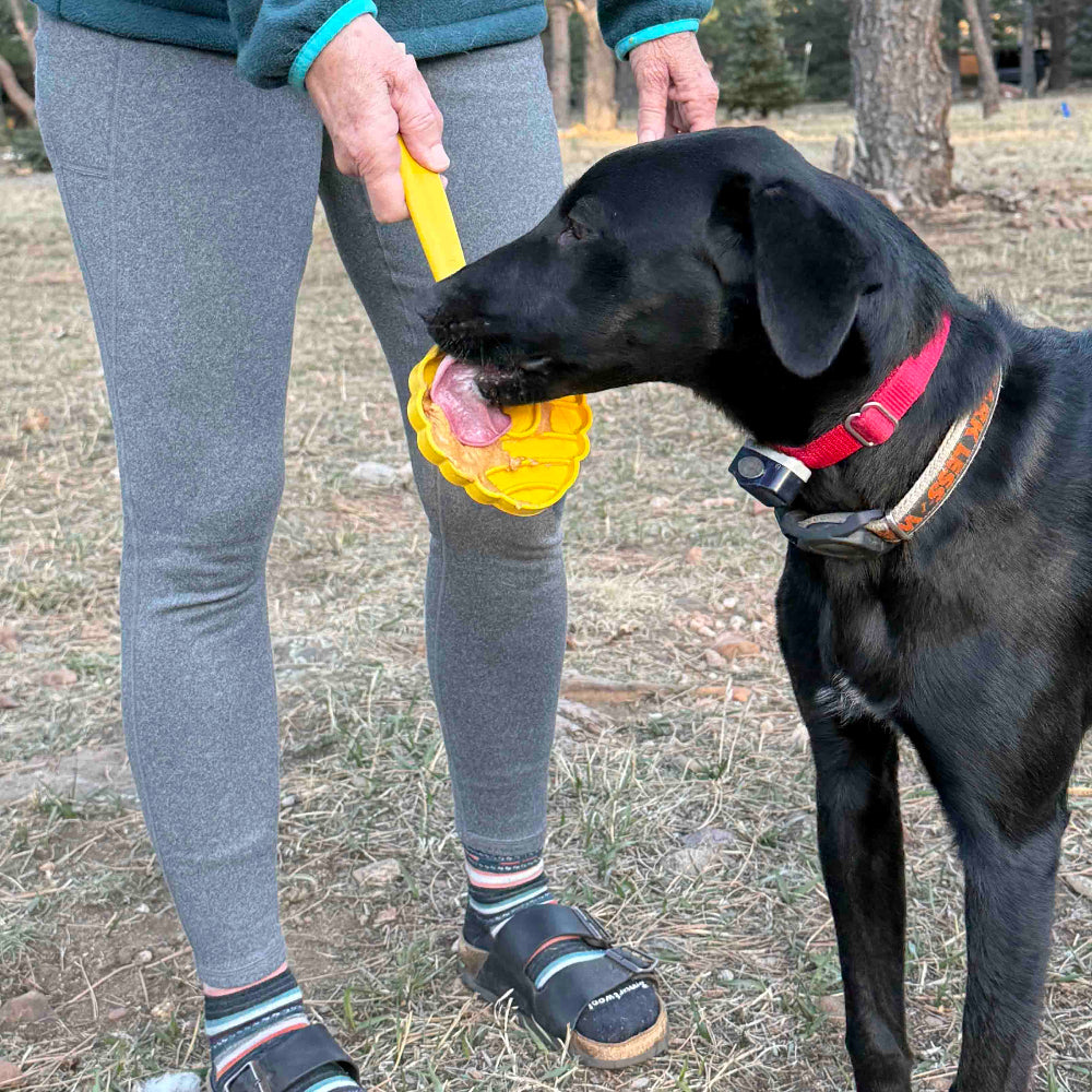 eStick Hand-Held Dog Enrichment Toy