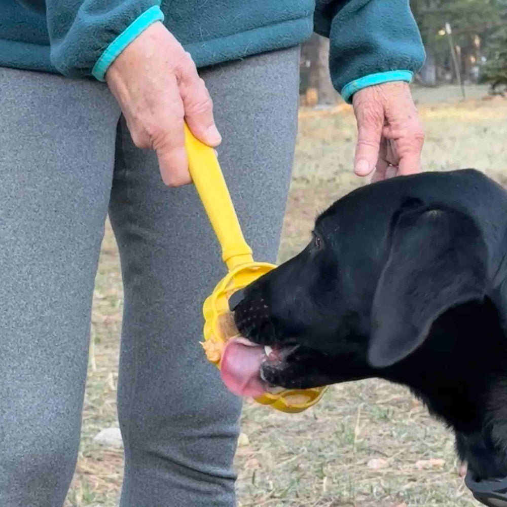 eStick Hand-Held Dog Enrichment Toy