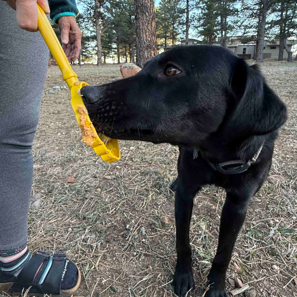 eStick Hand-Held Dog Enrichment Toy