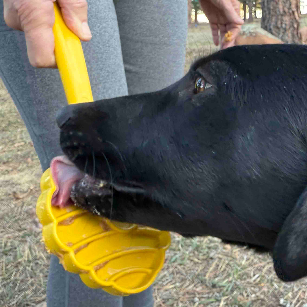 eStick Hand-Held Dog Enrichment Toy
