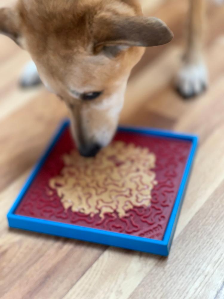 Suction Cup Holder for Dog Bowls & Lick Mats