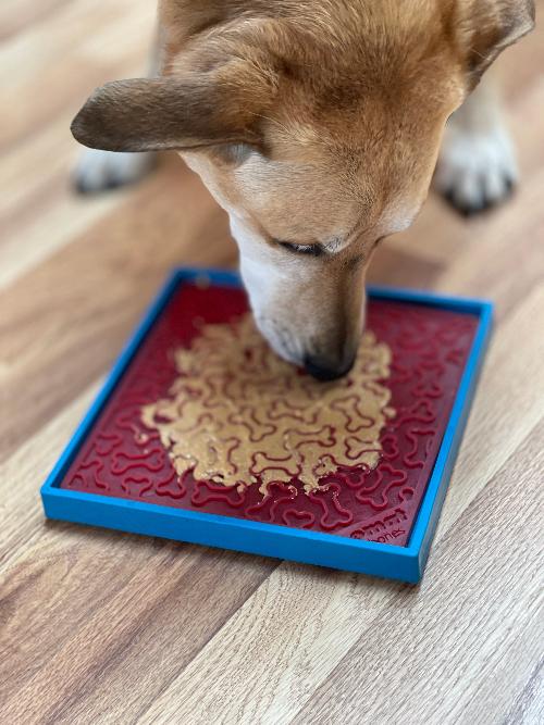 Suction Cup Holder for Dog Bowls & Lick Mats