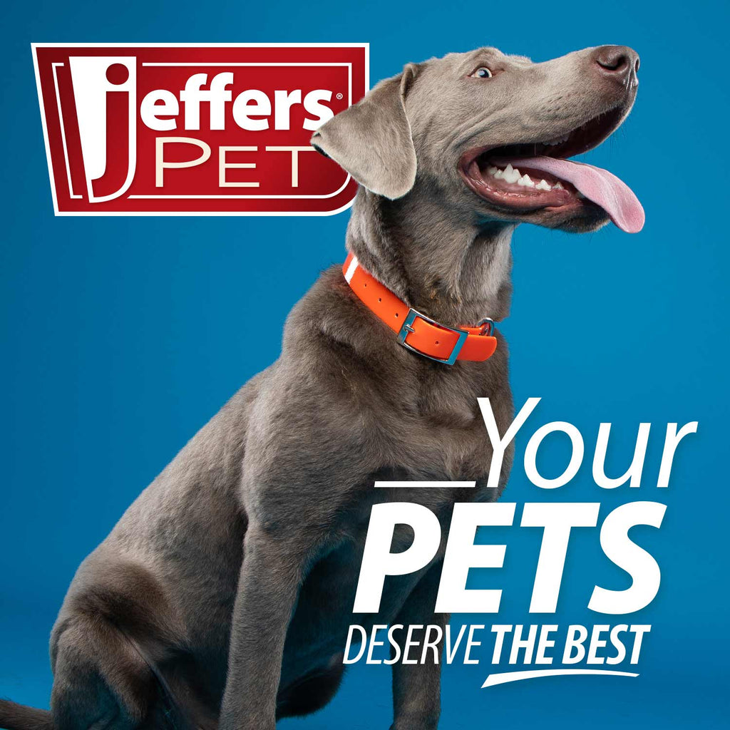 Jeffers Undercoat Rake for Pet Grooming