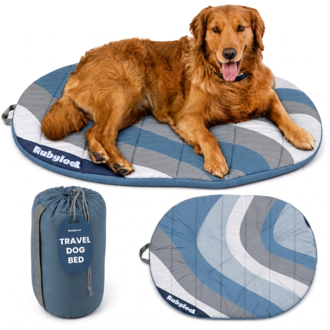 Travel Bed - Foldable & Packable