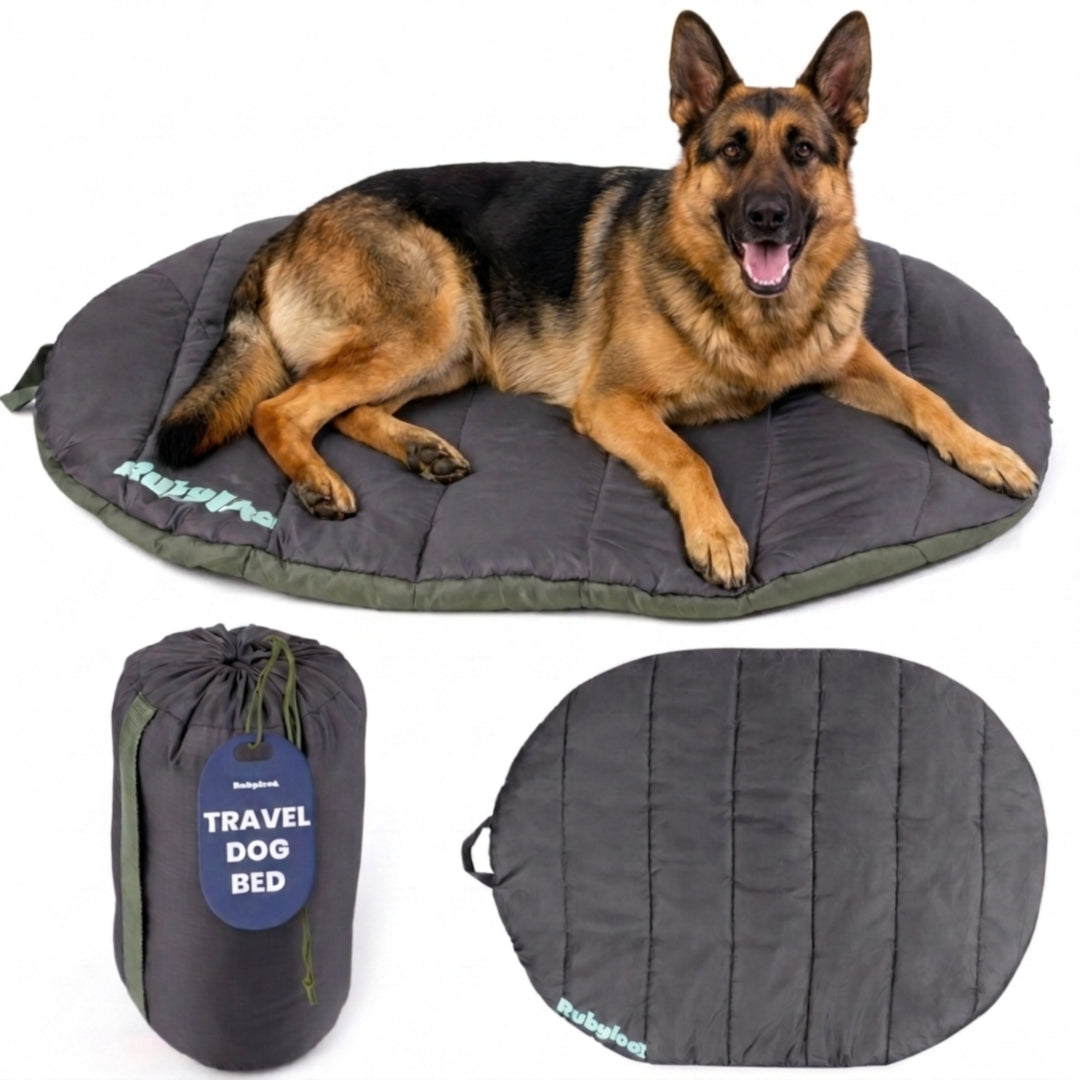 Travel Bed - Foldable & Packable