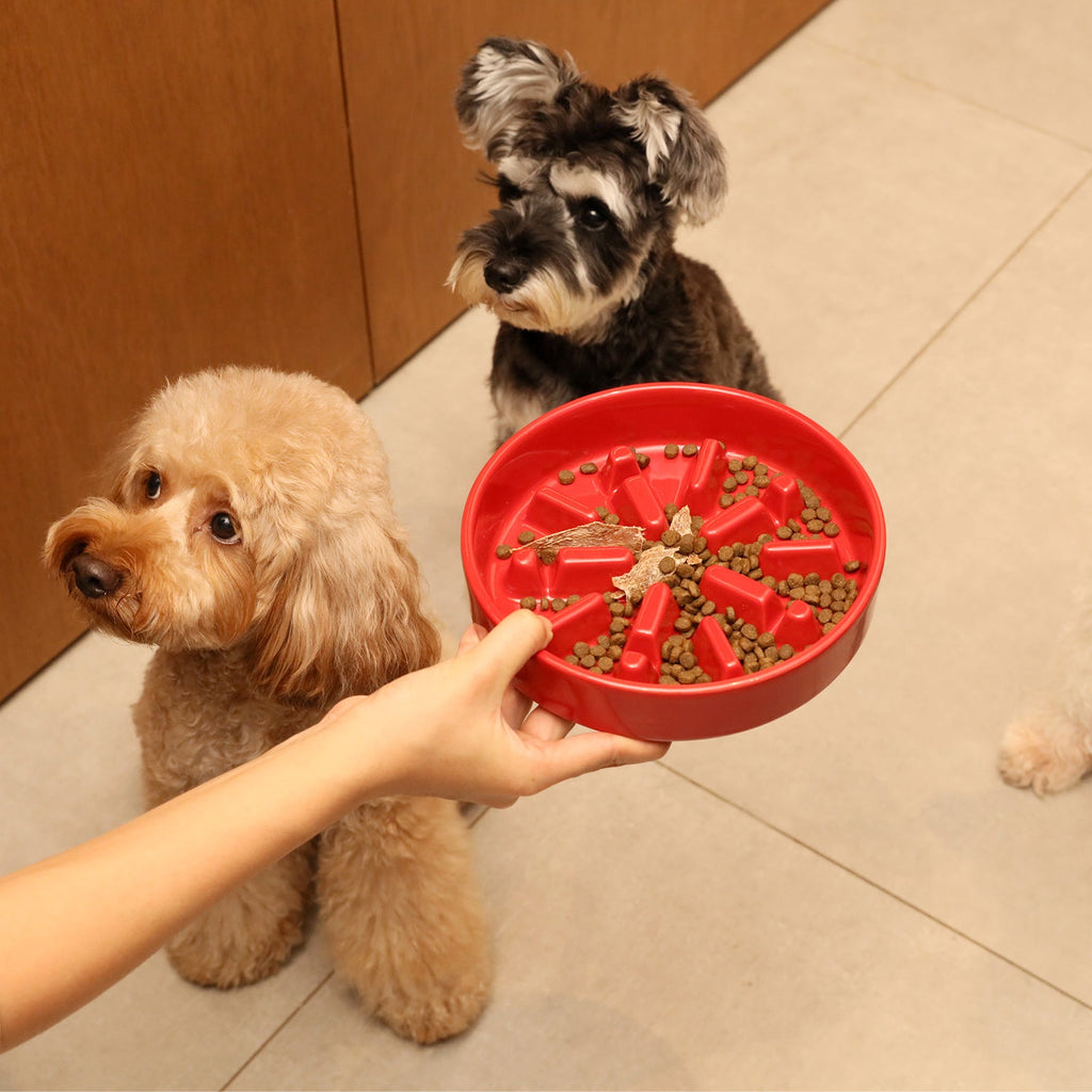 [Wave] Slow Feeder Dog Bowls
