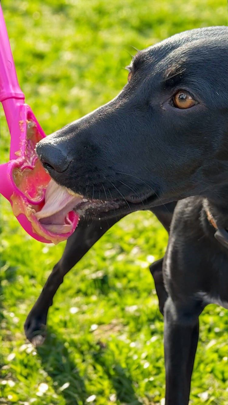 eStick Hand-Held Dog Enrichment Toy