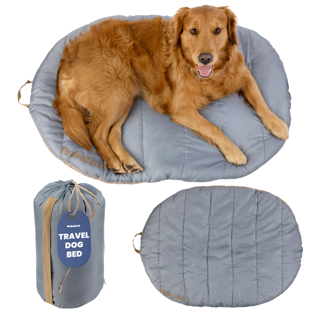 Travel Bed - Foldable & Packable