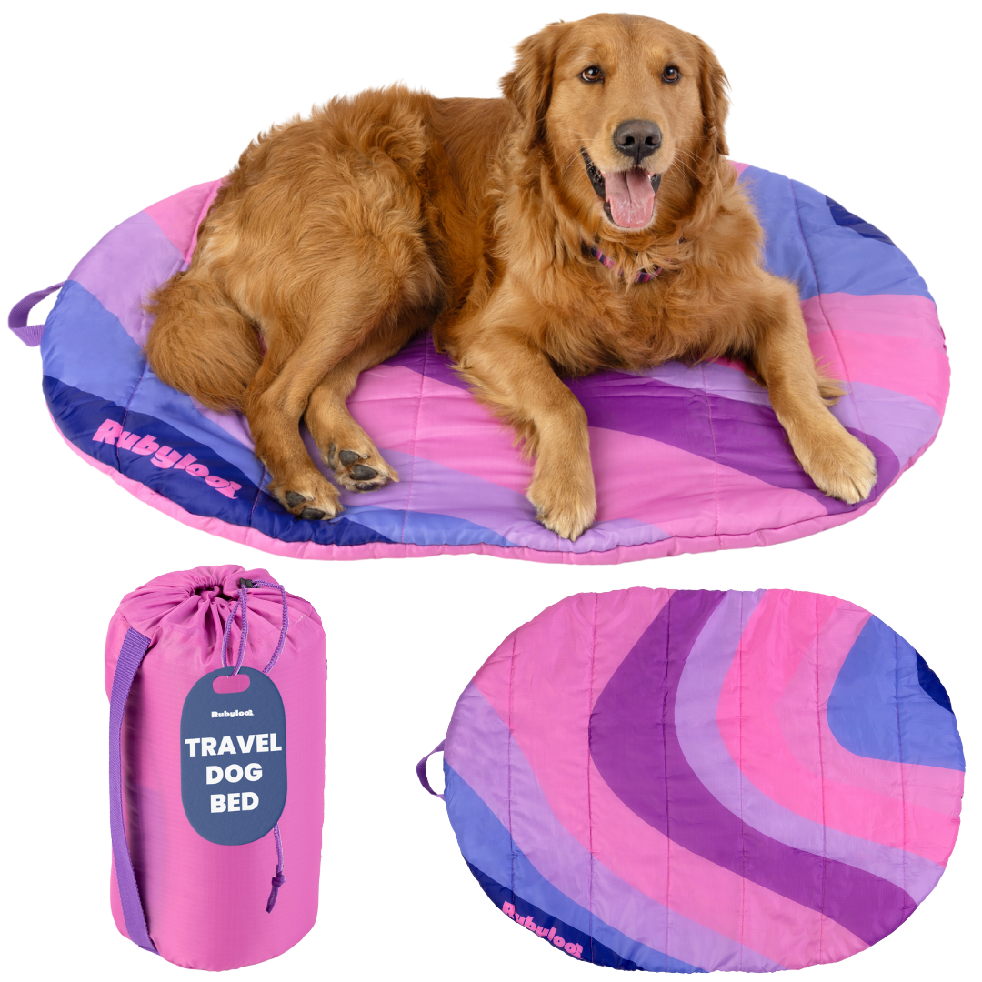 Travel Bed - Foldable & Packable