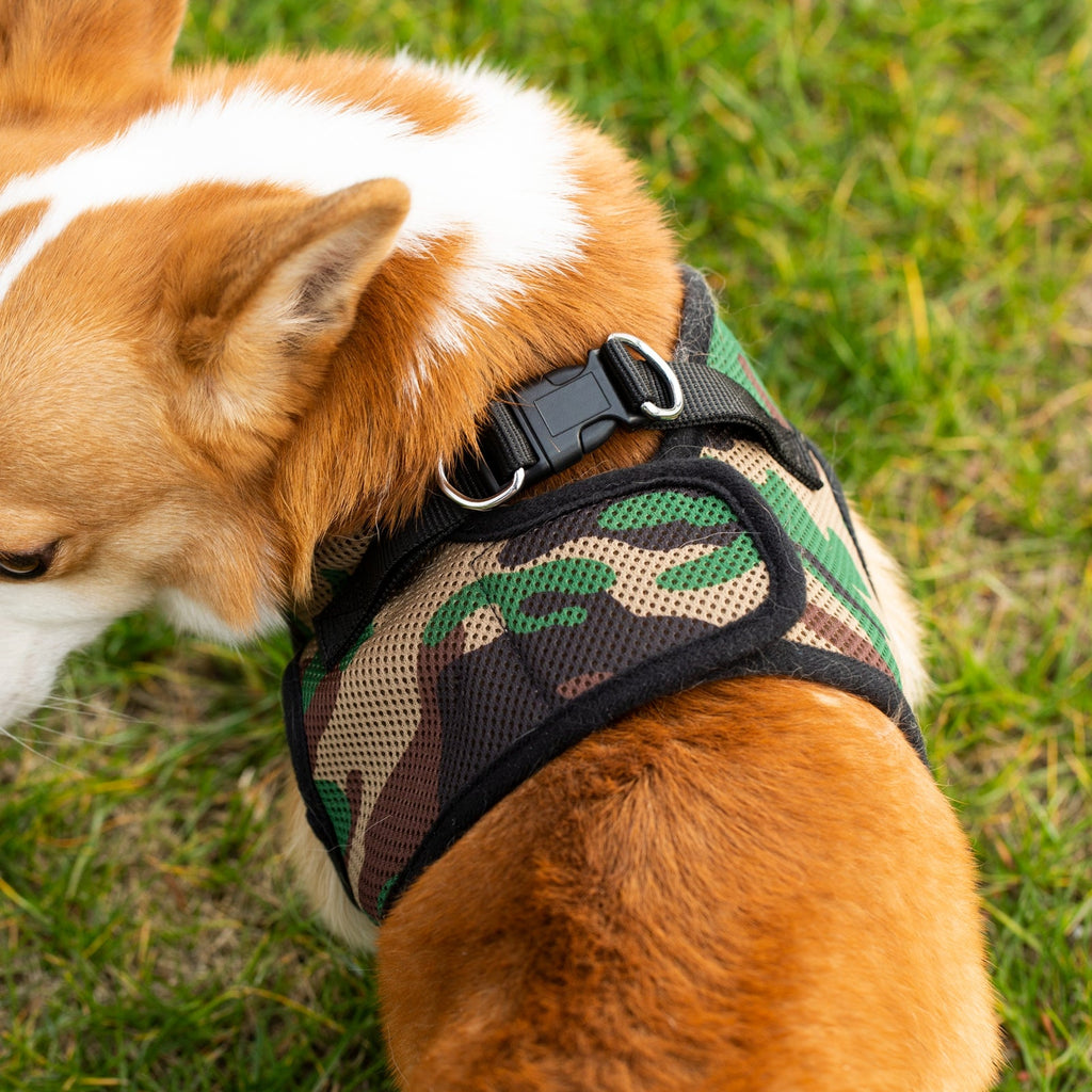 Mr. Peanut's Harness with Matching Leash