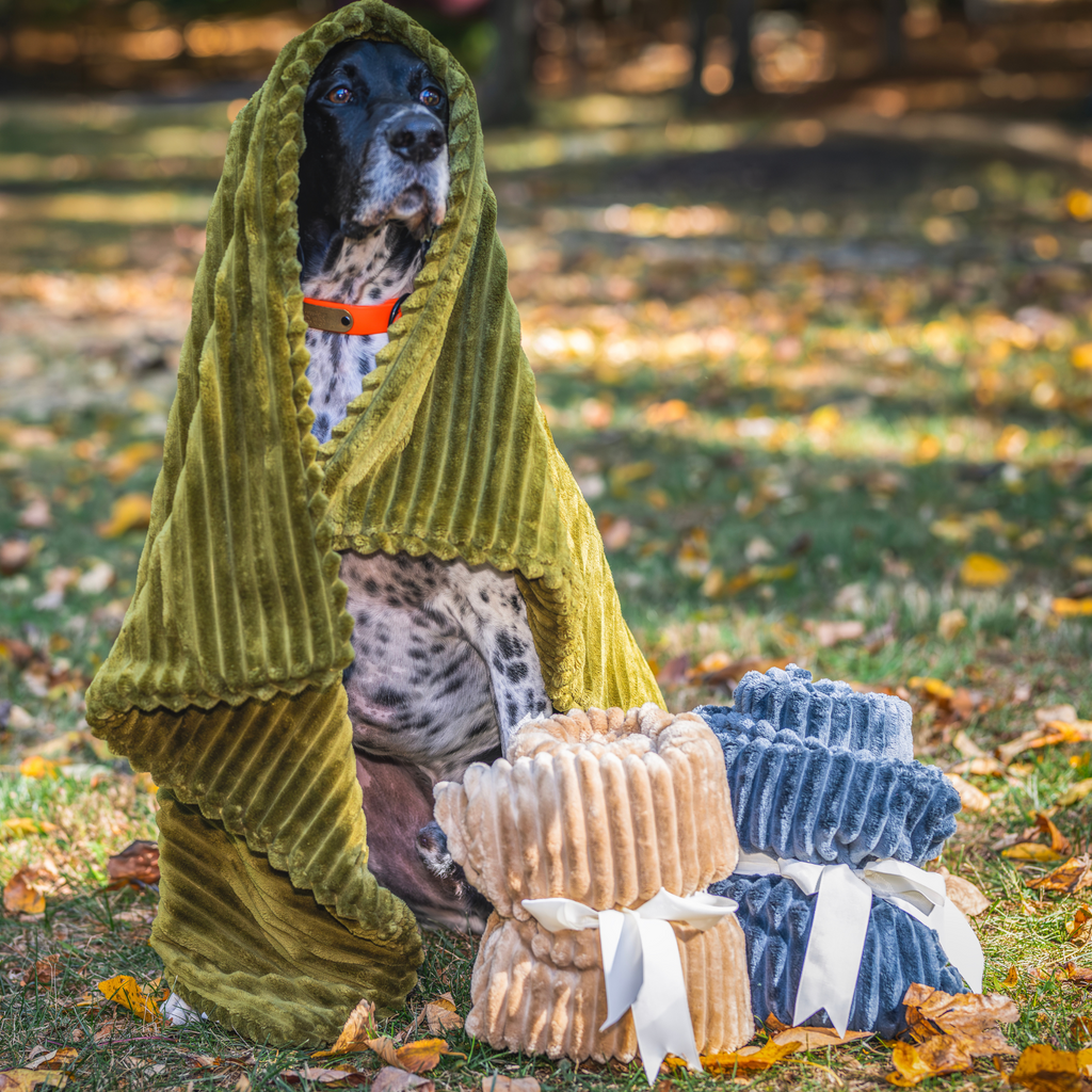 Scout Blankie Plush Dog Blanket