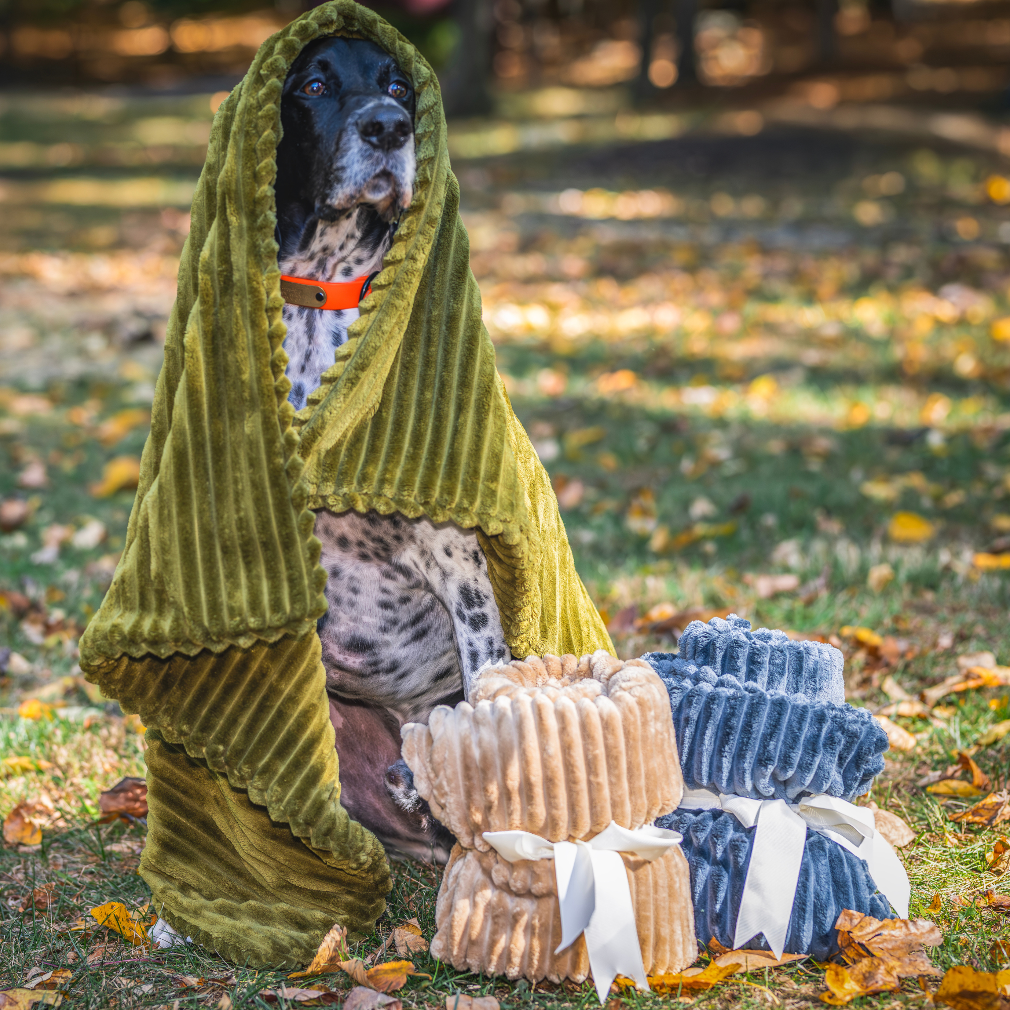 Scout Blankie Plush Dog Blanket