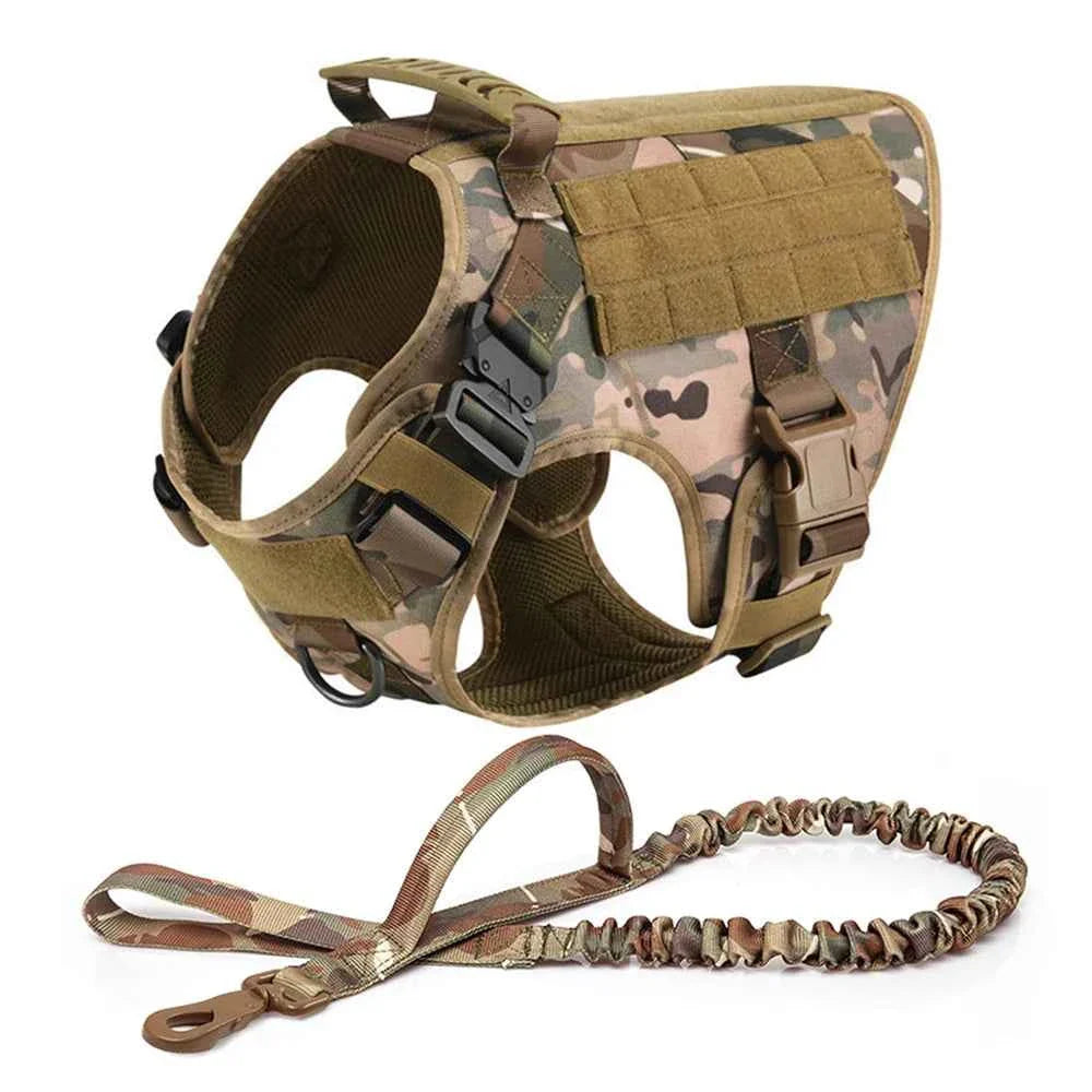 Heavy Duty No Pull Dog Harness and Leash Set