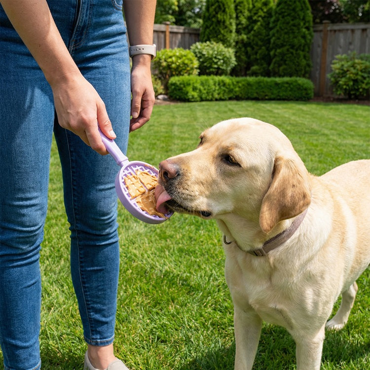 eStick Hand-Held Dog Enrichment Toy