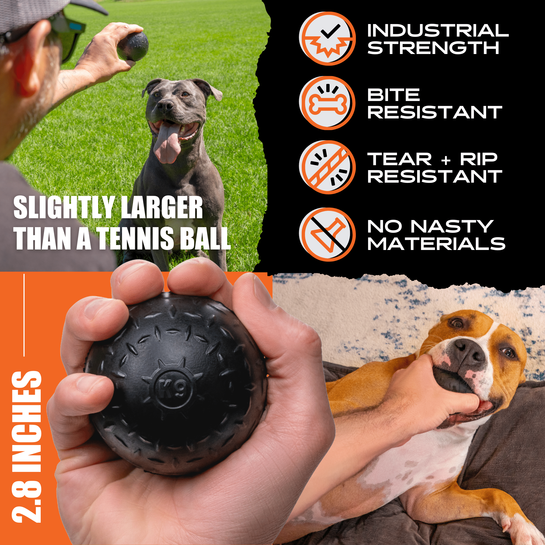 Beast Ball