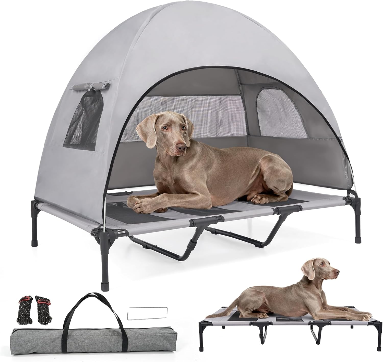 Elevated Outdoor Dog Bed, Cot and Camping Tent
