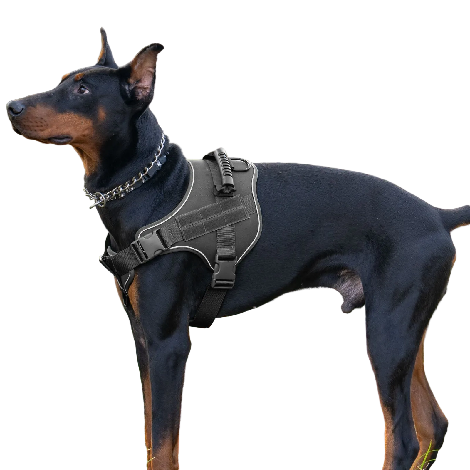 Traction Rope For Large Dogs Breathable Tactical Harness