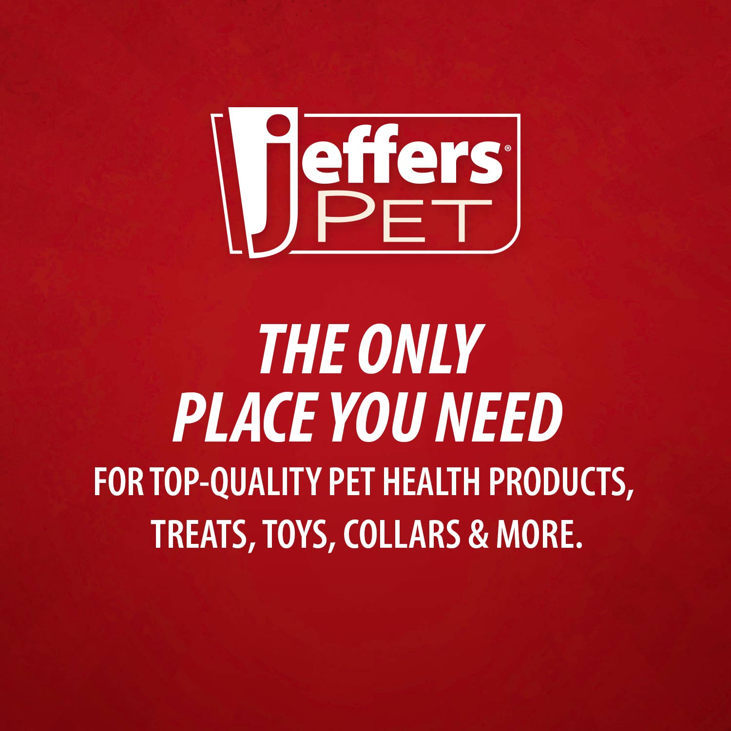 Jeffers Undercoat Rake for Pet Grooming