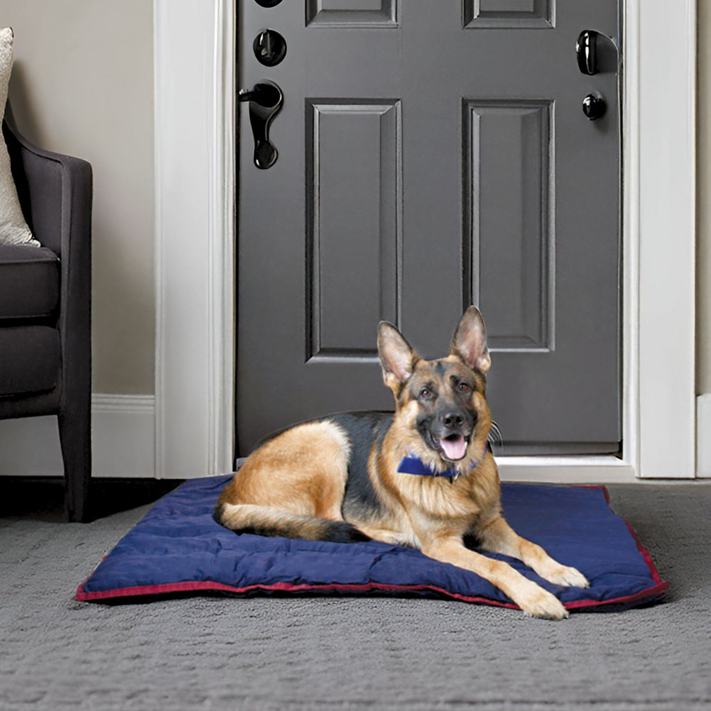 Jeffers Pet Washable Comfy Dog Pillow