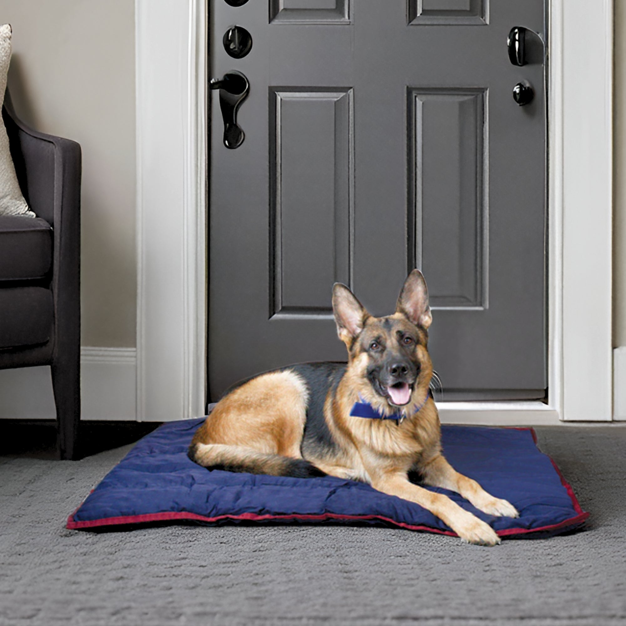 Jeffers Pet Washable Comfy Dog Pillow