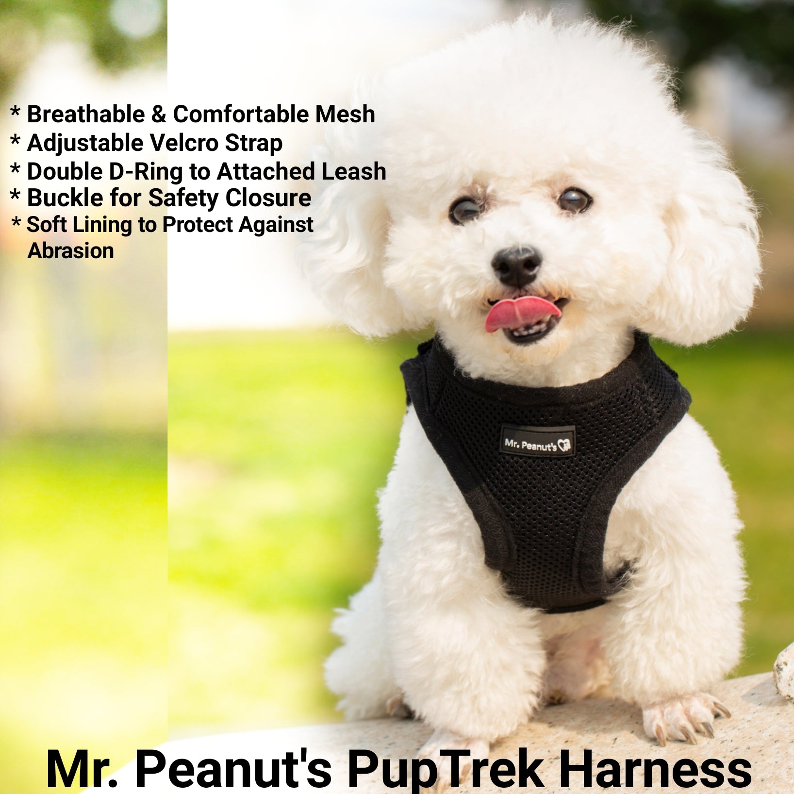 Mr. Peanut's Harness with Matching Leash