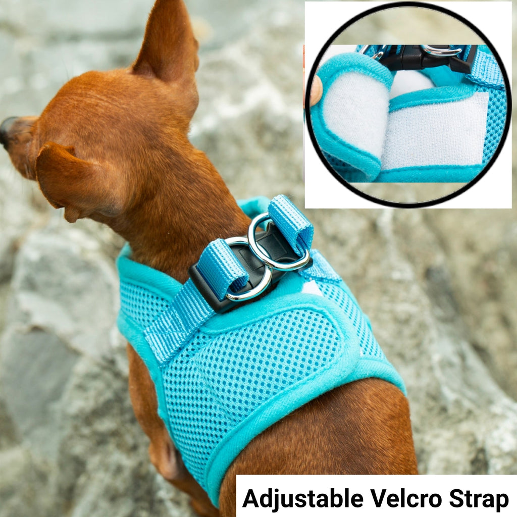 Mr. Peanut's Harness with Matching Leash