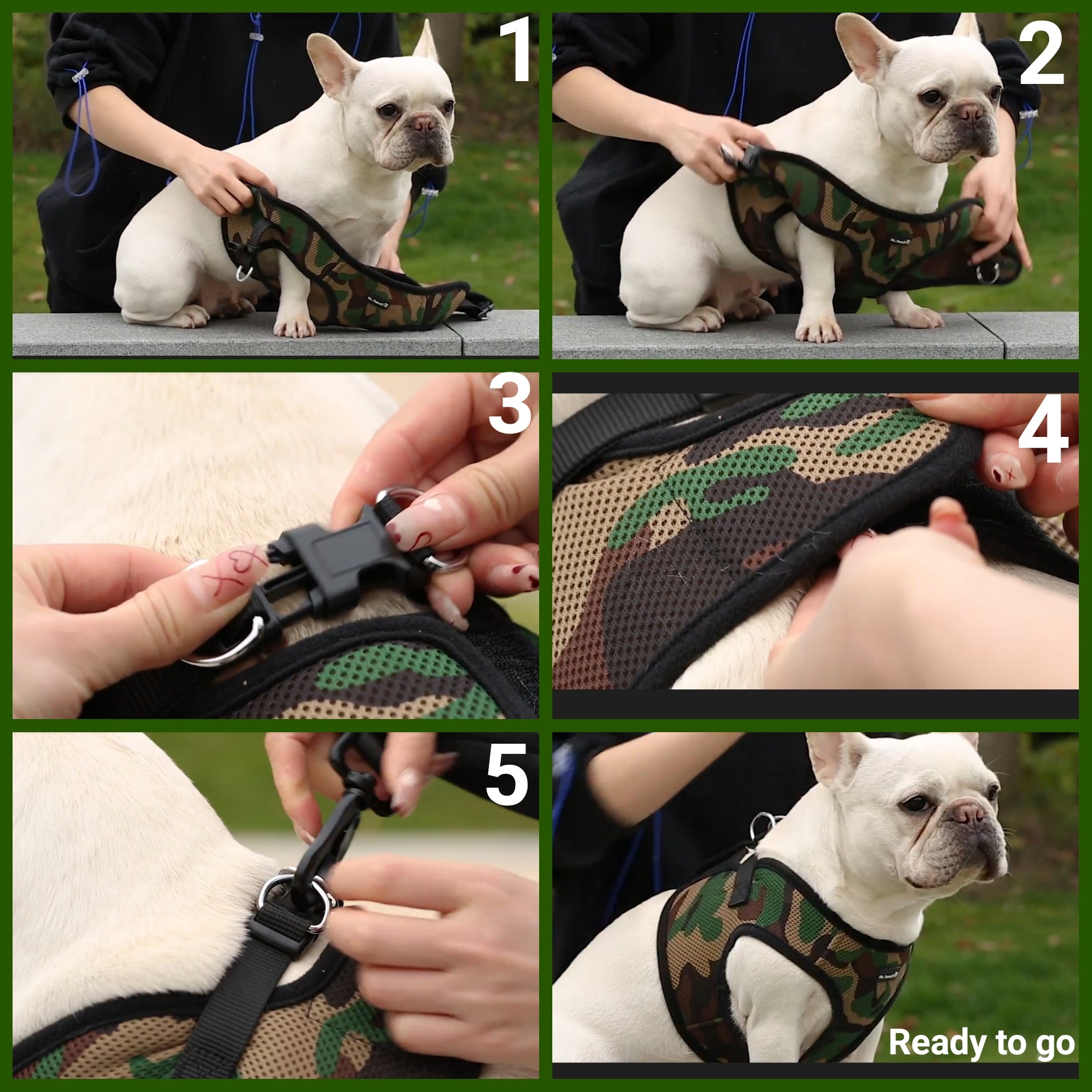 Mr. Peanut's Harness with Matching Leash