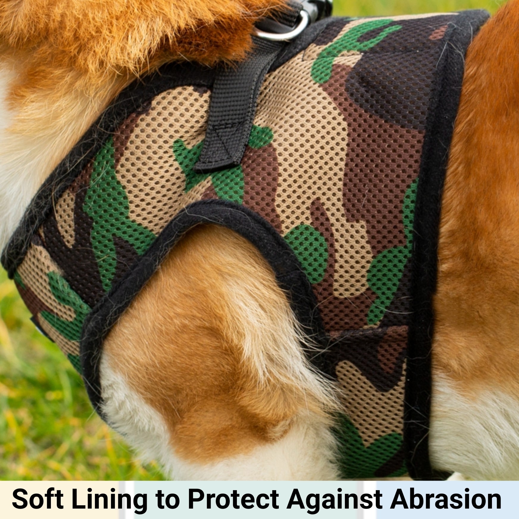 Mr. Peanut's Harness with Matching Leash