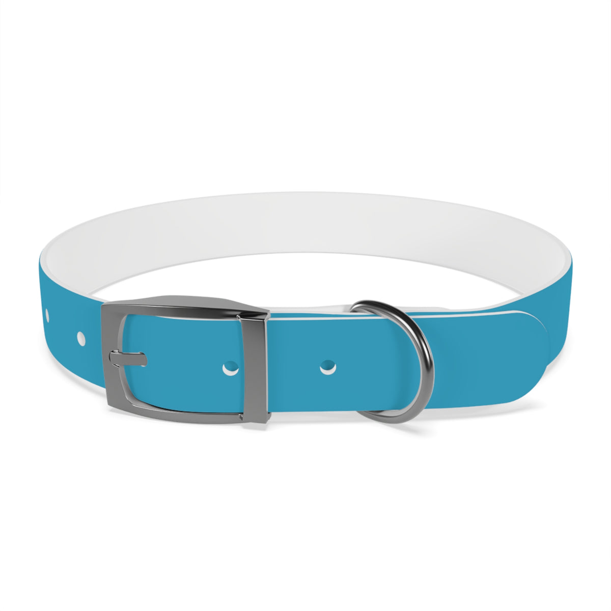 PAC Leash-Collar Bundle | Turquoise