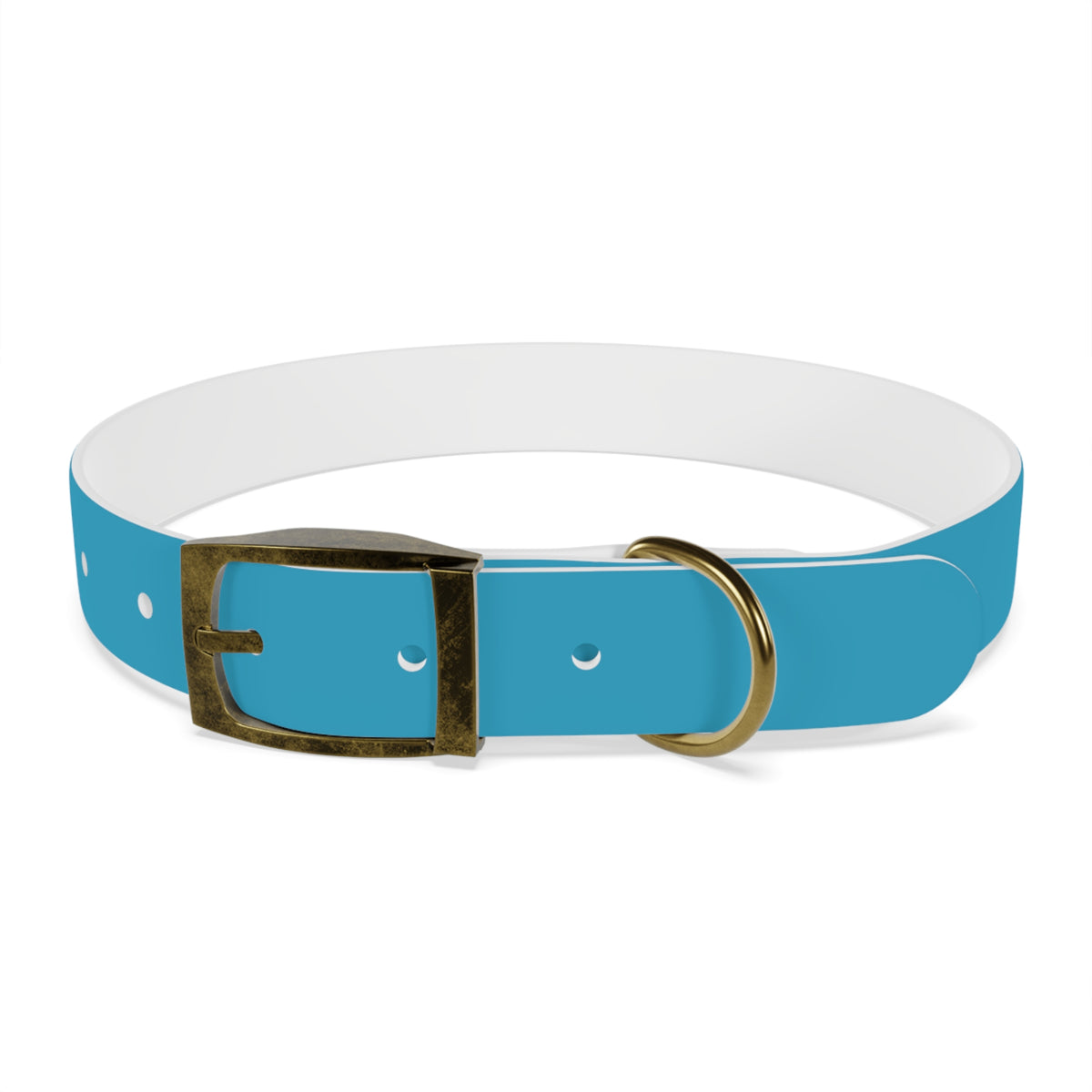 PAC Leash-Collar Bundle | Turquoise
