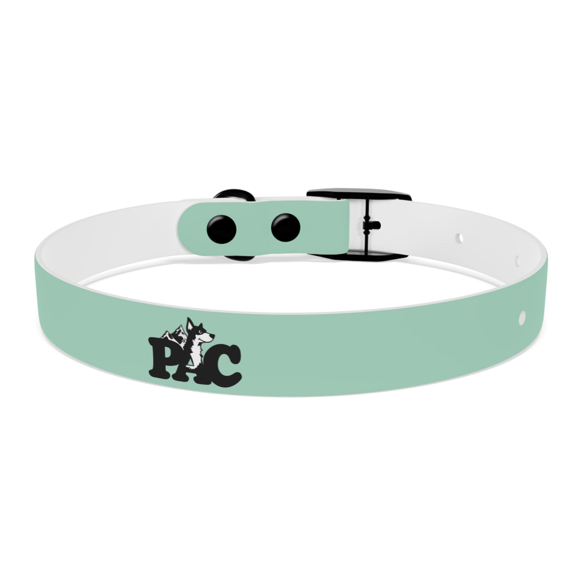 PAC Leash-Collar Bundle | Mint